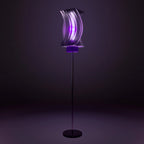translucent black + purple