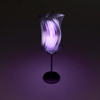 translucent black + purple