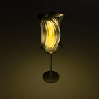 translucent black + yellow